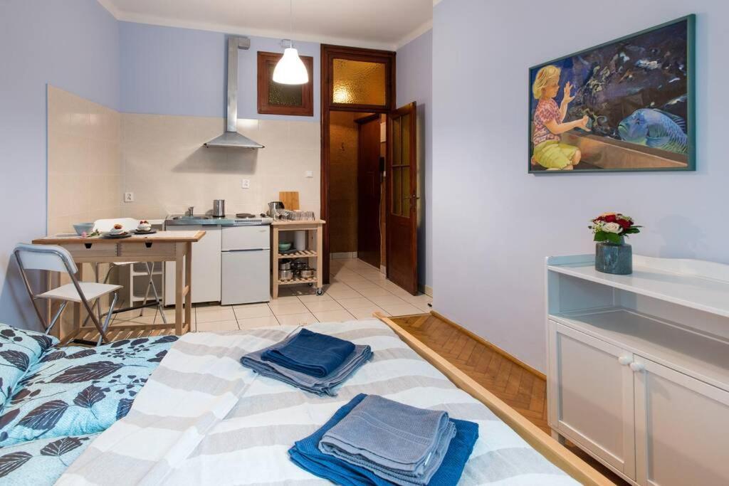 Apartamento Peaceful And Relaxing Studio In The Center Cracovia Exterior foto